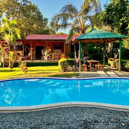 Uvita Oasis Retreat With Villa Cabins And Apartment Ngoại thất bức ảnh