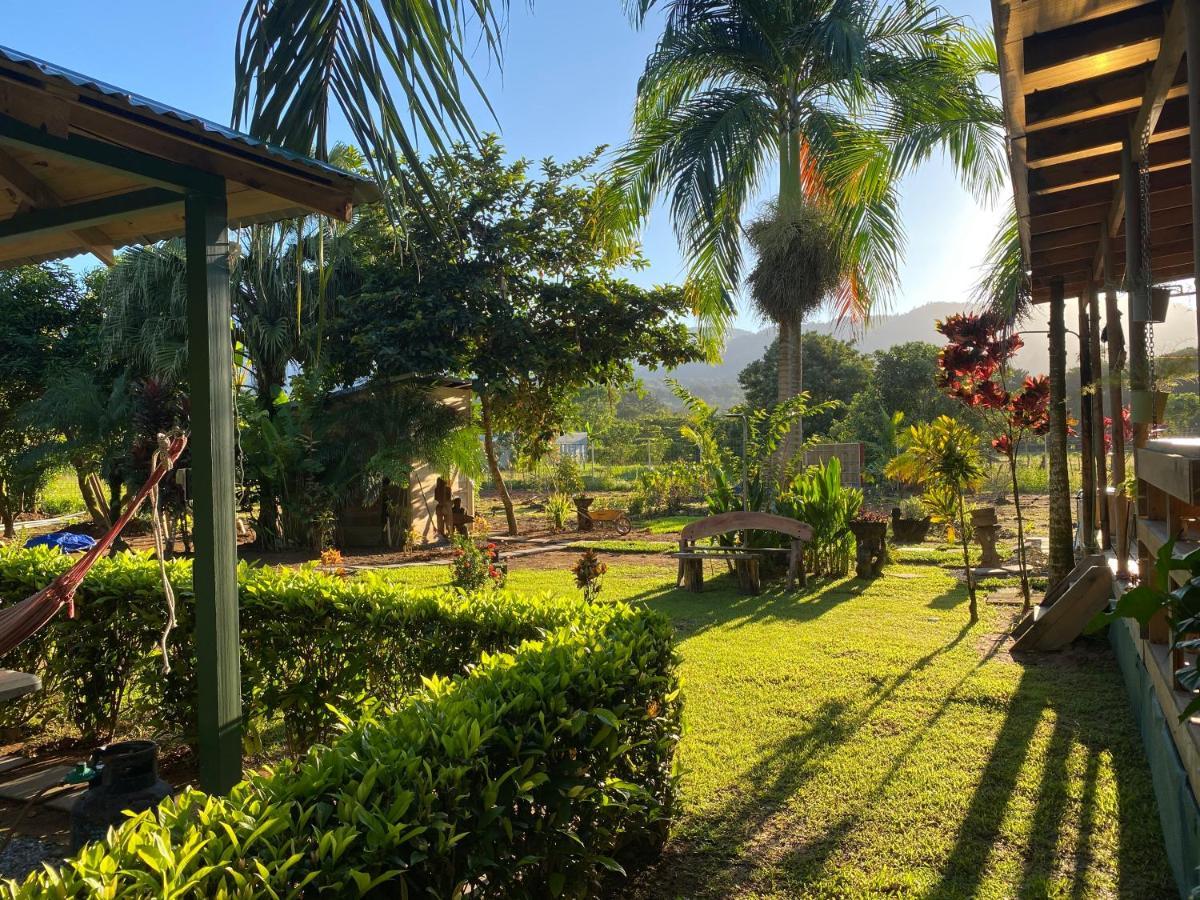 Uvita Oasis Retreat With Villa Cabins And Apartment Ngoại thất bức ảnh