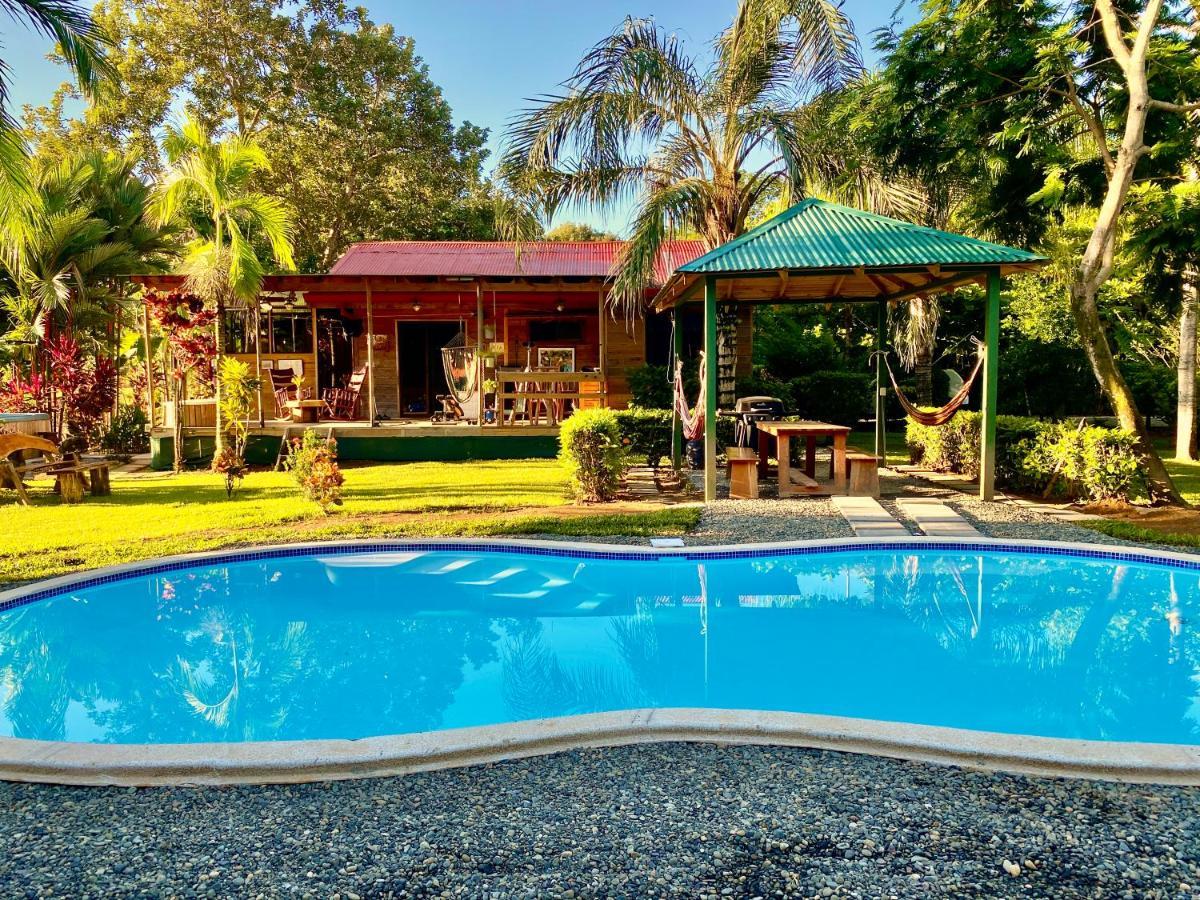 Uvita Oasis Retreat With Villa Cabins And Apartment Ngoại thất bức ảnh