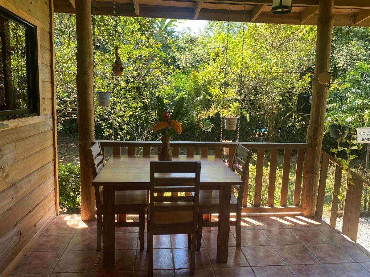 Uvita Oasis Retreat With Villa Cabins And Apartment Ngoại thất bức ảnh