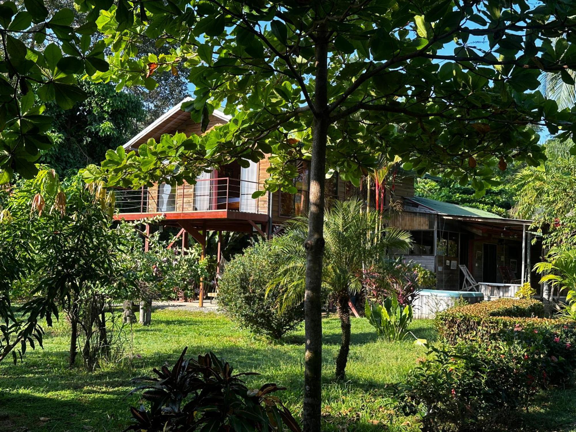 Uvita Oasis Retreat With Villa Cabins And Apartment Ngoại thất bức ảnh