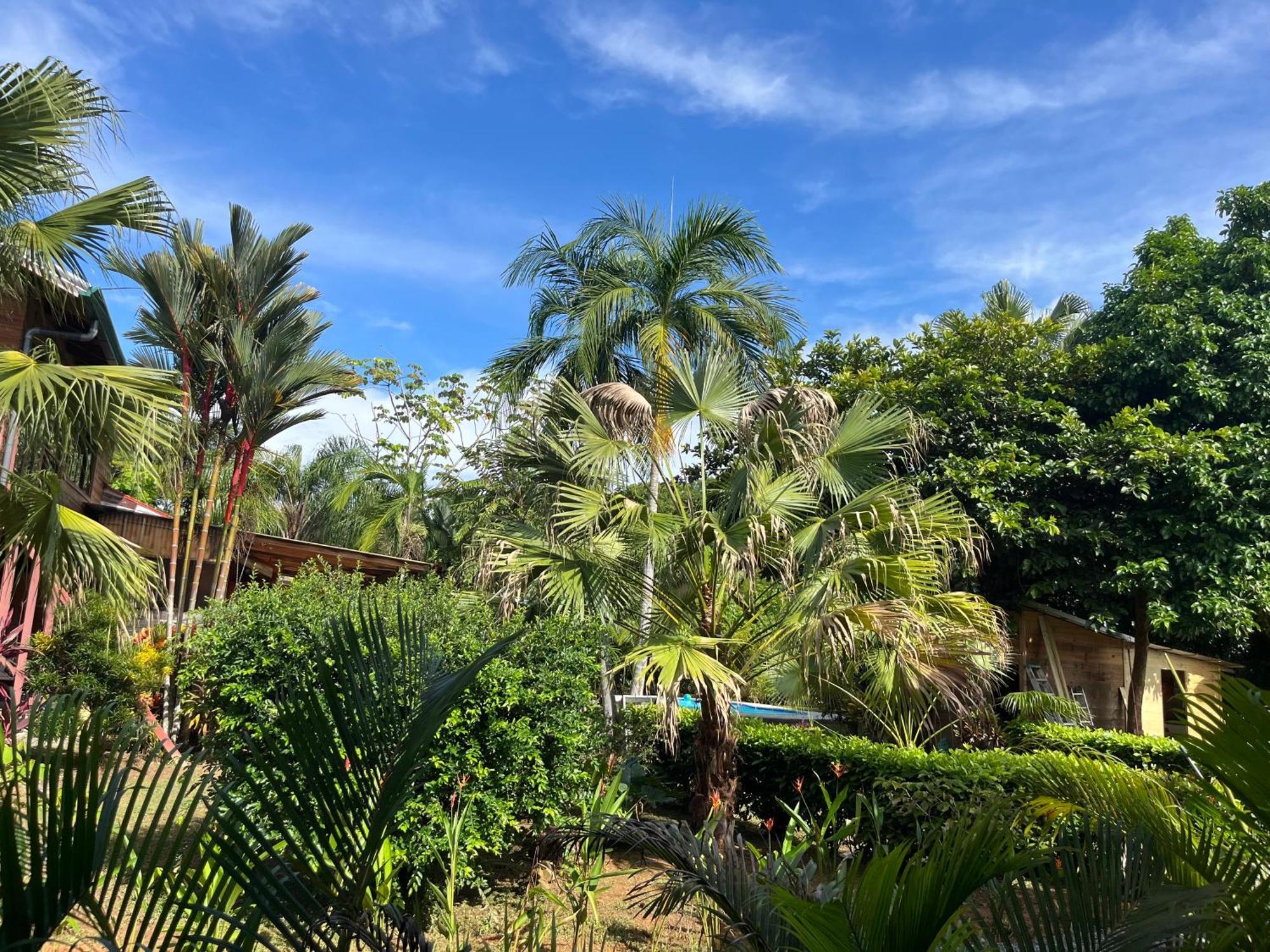 Uvita Oasis Retreat With Villa Cabins And Apartment Ngoại thất bức ảnh