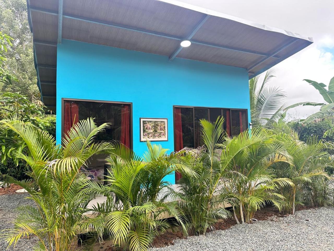 Uvita Oasis Retreat With Villa Cabins And Apartment Ngoại thất bức ảnh