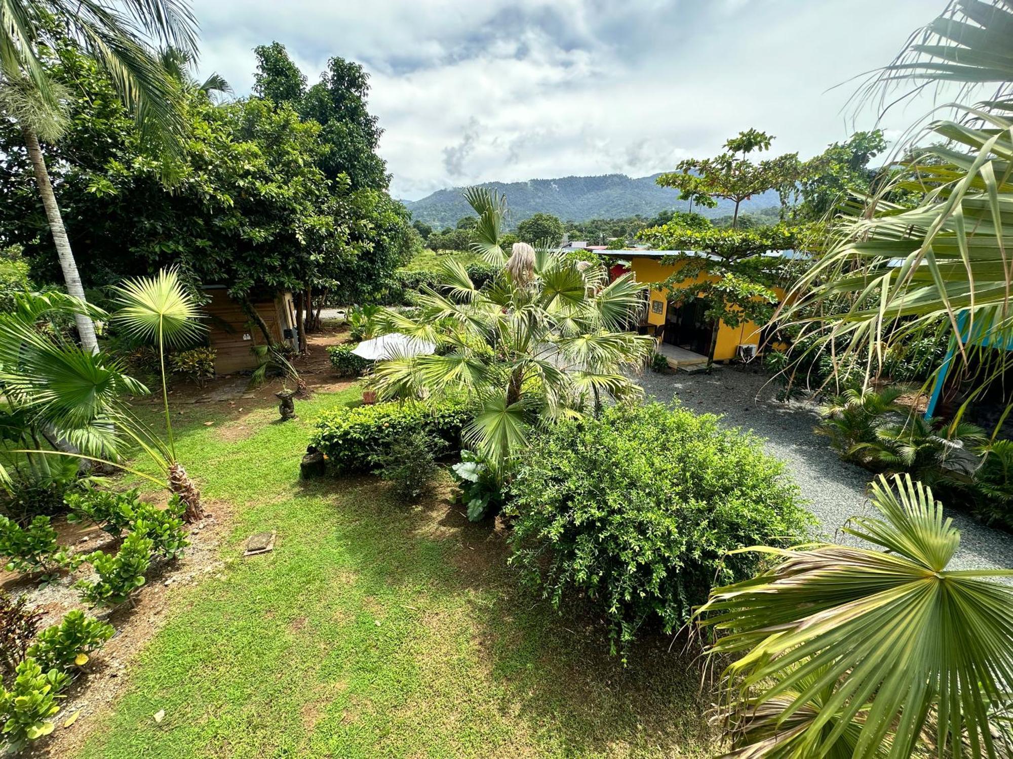 Uvita Oasis Retreat With Villa Cabins And Apartment Ngoại thất bức ảnh