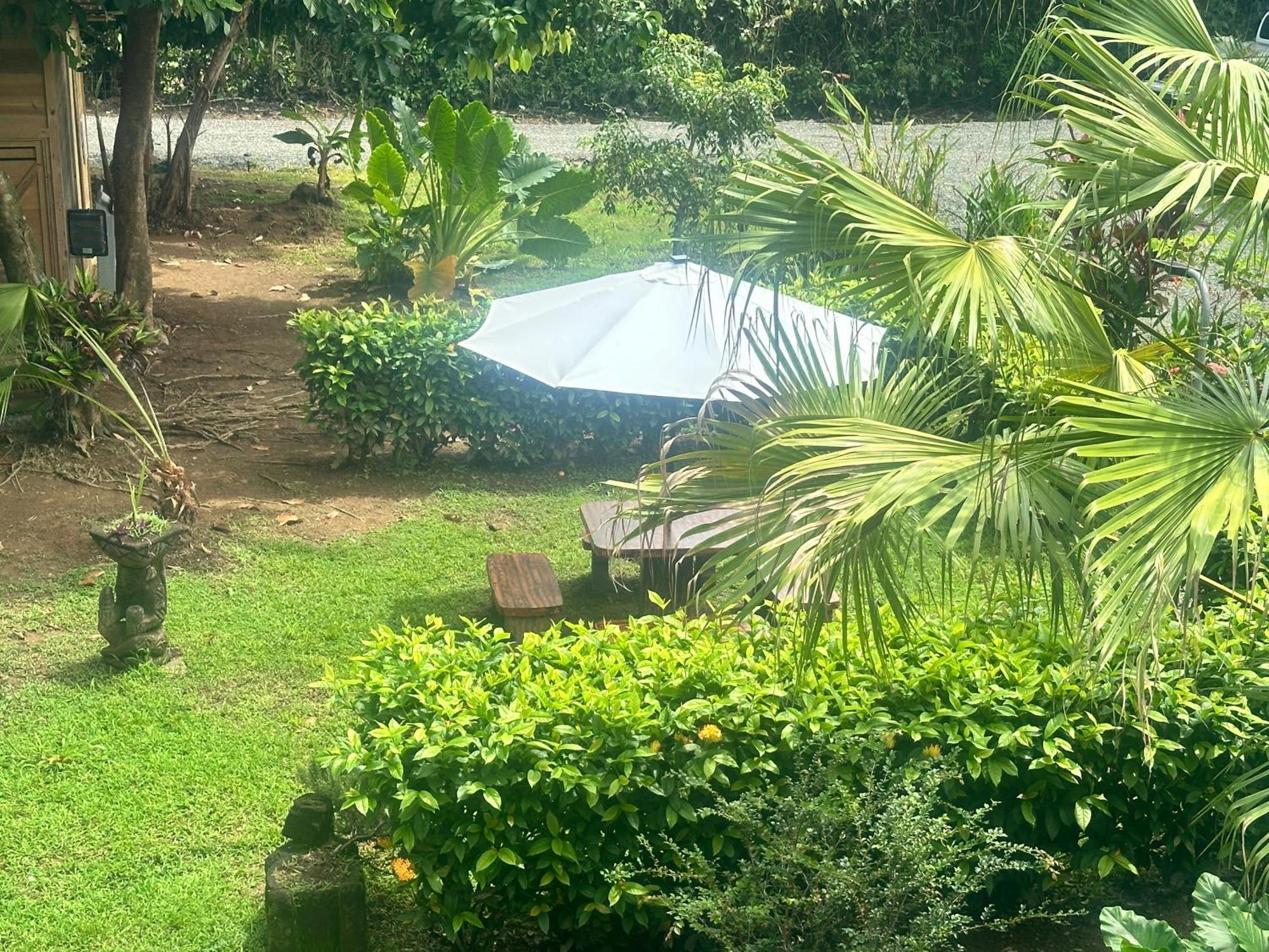 Uvita Oasis Retreat With Villa Cabins And Apartment Ngoại thất bức ảnh