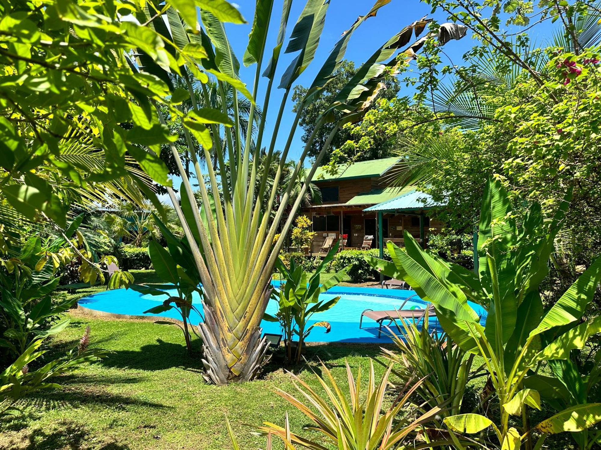 Uvita Oasis Retreat With Villa Cabins And Apartment Ngoại thất bức ảnh