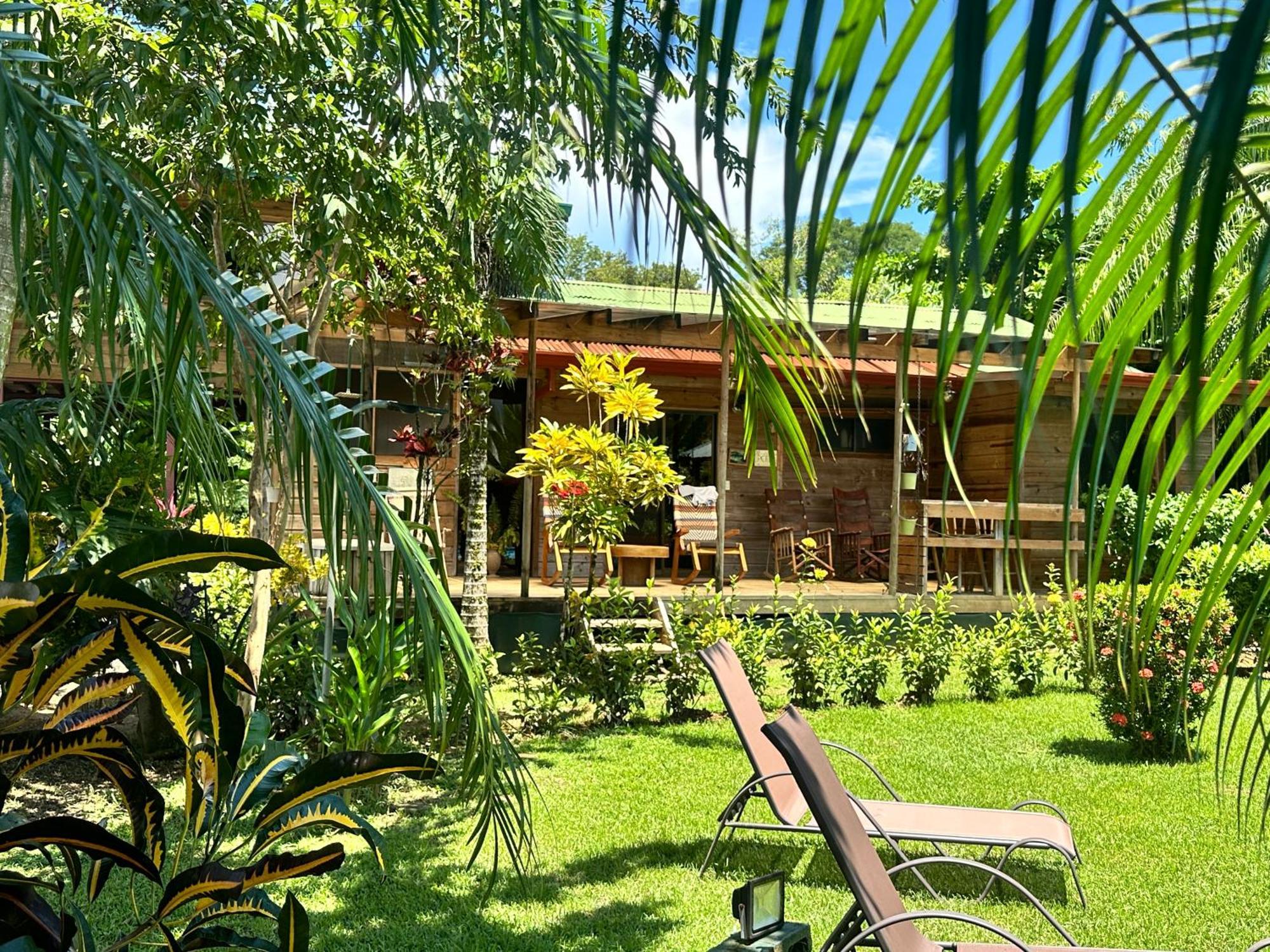 Uvita Oasis Retreat With Villa Cabins And Apartment Ngoại thất bức ảnh