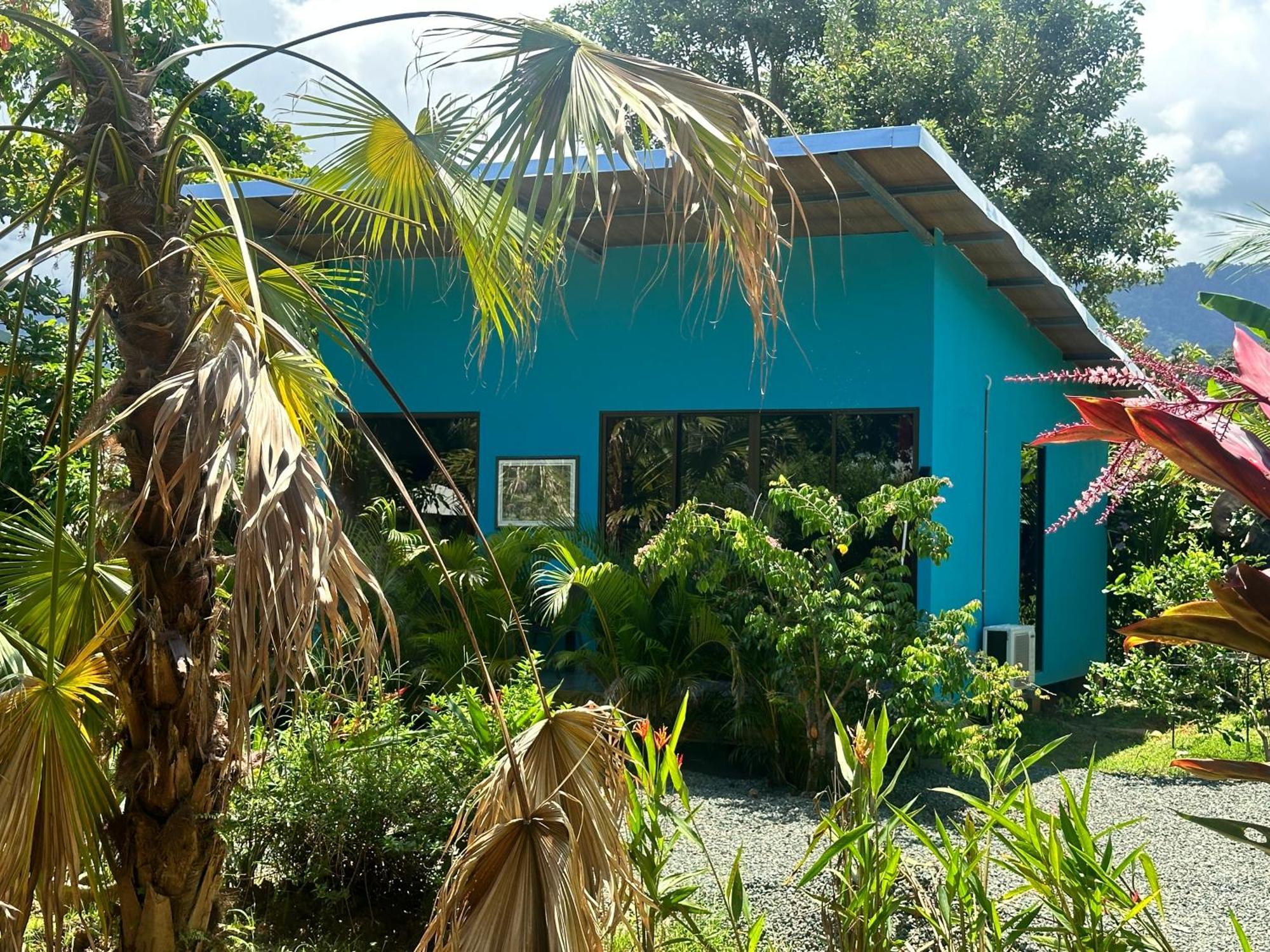 Uvita Oasis Retreat With Villa Cabins And Apartment Ngoại thất bức ảnh