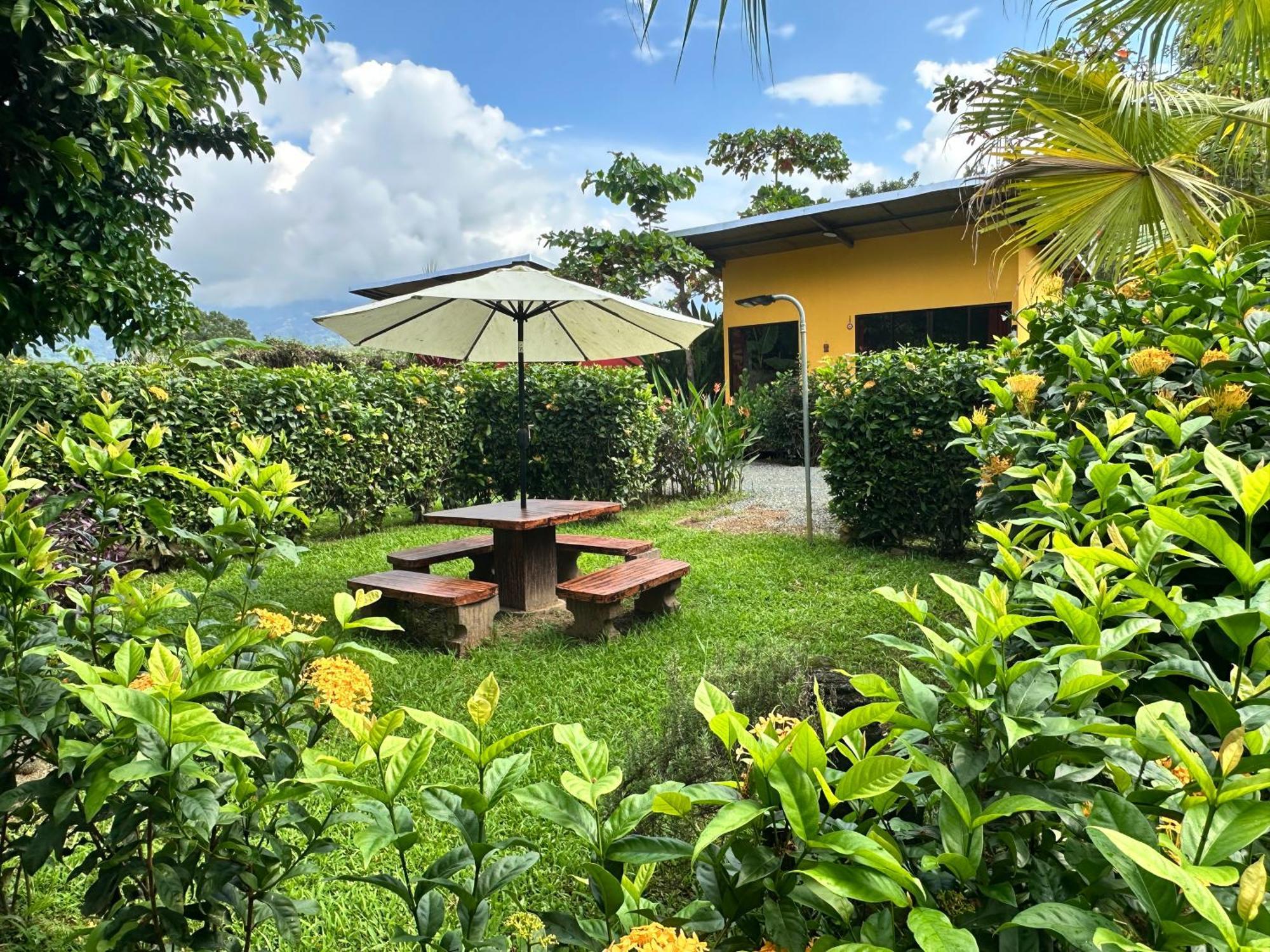 Uvita Oasis Retreat With Villa Cabins And Apartment Ngoại thất bức ảnh