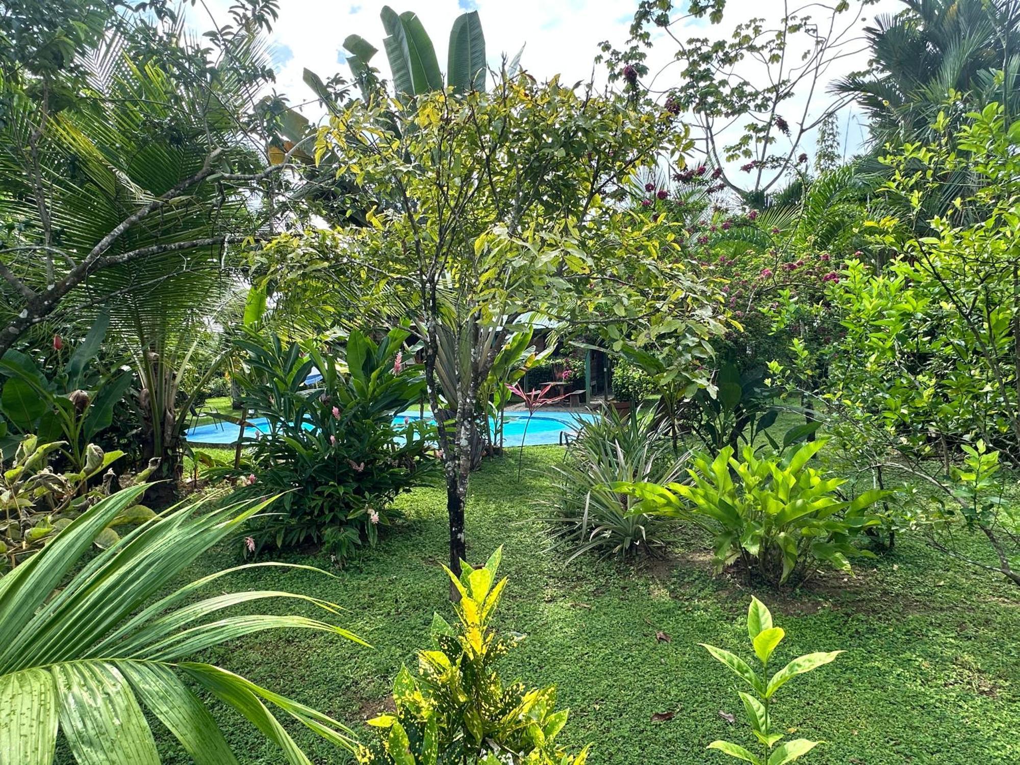 Uvita Oasis Retreat With Villa Cabins And Apartment Ngoại thất bức ảnh
