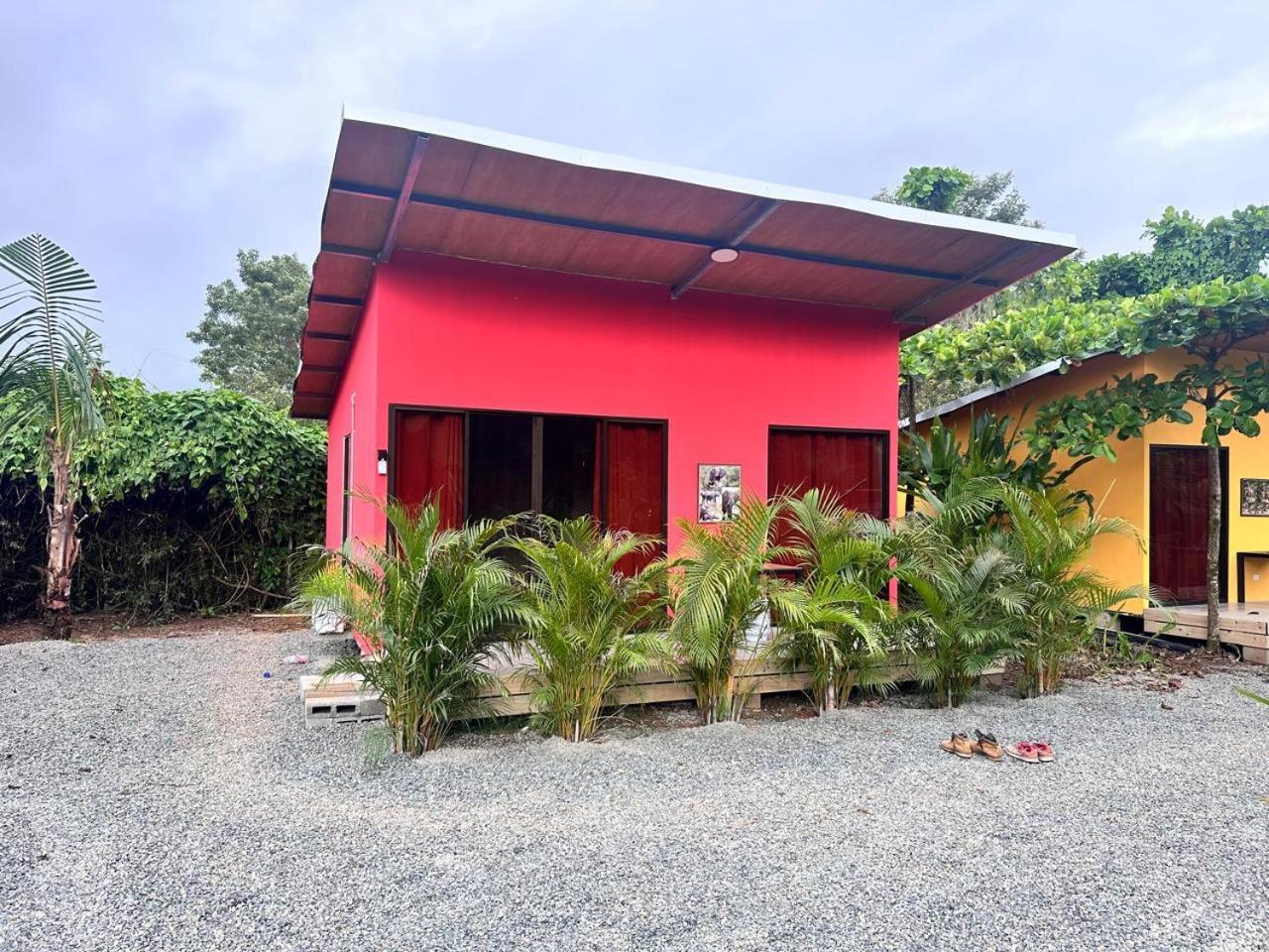 Uvita Oasis Retreat With Villa Cabins And Apartment Ngoại thất bức ảnh
